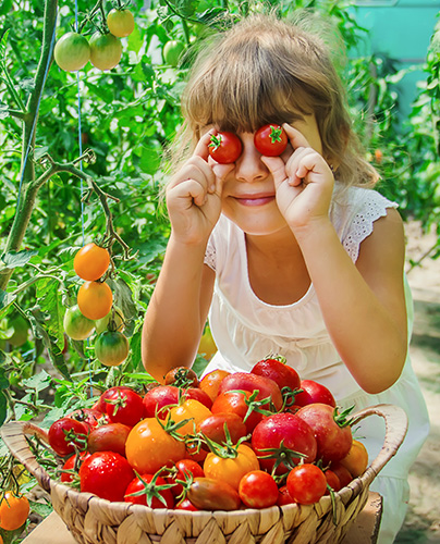 clair enfance legumes jardin
